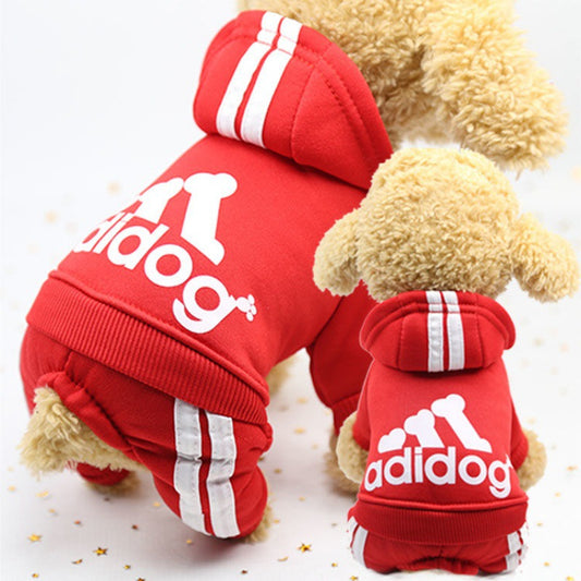 Cute Autumn and Winter Wear for Dogs