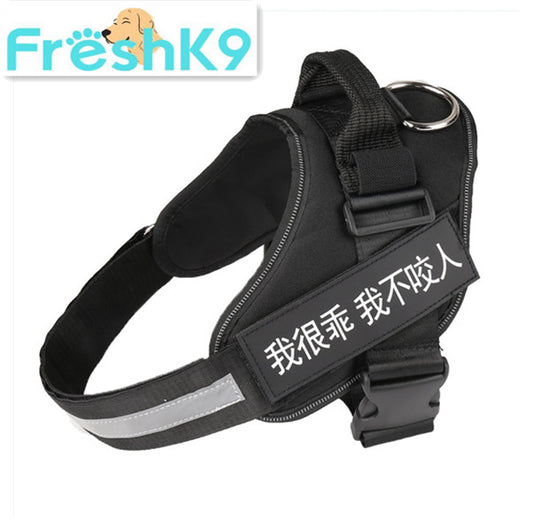 Chest Harness with Strap