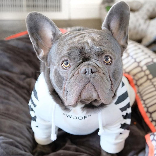 Corgi Schnauzer Fashion Three-Stripe Dog Sweater
