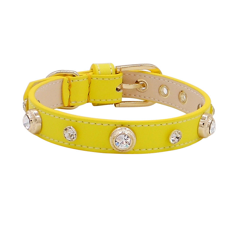 Leather Dog Collar- Multicolor