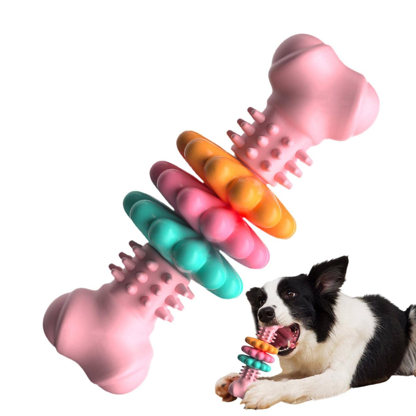 Interactive Chew Dog Toy