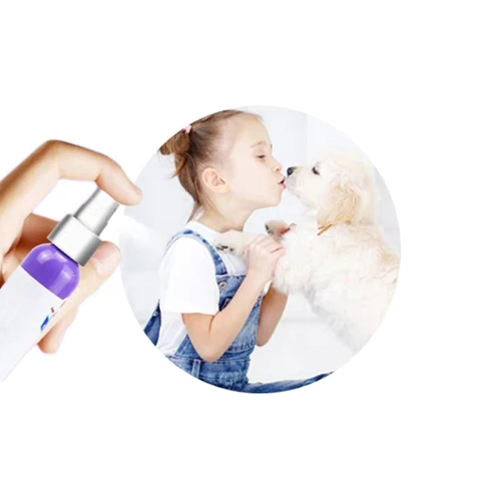 Oral Antibacterial for Dogs
