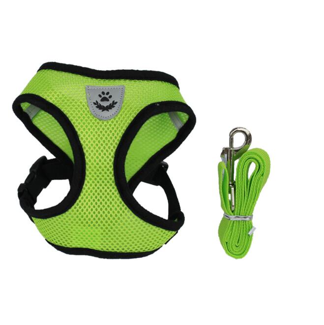 Car Seat Belt Dog Leash