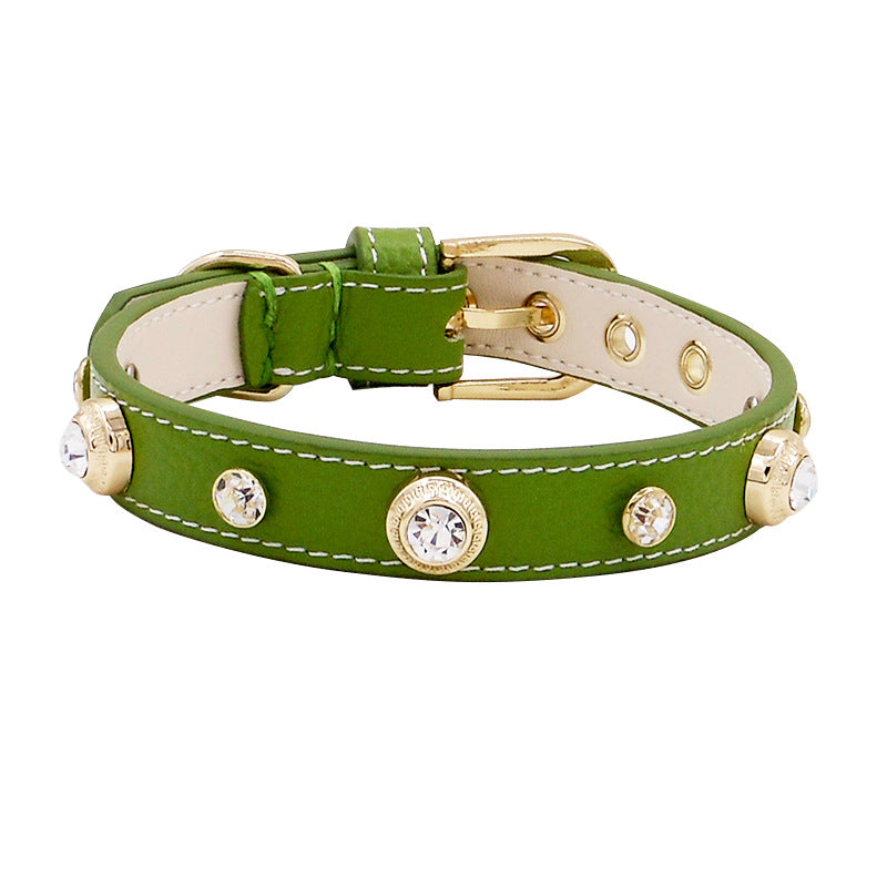 Leather Dog Collar- Multicolor
