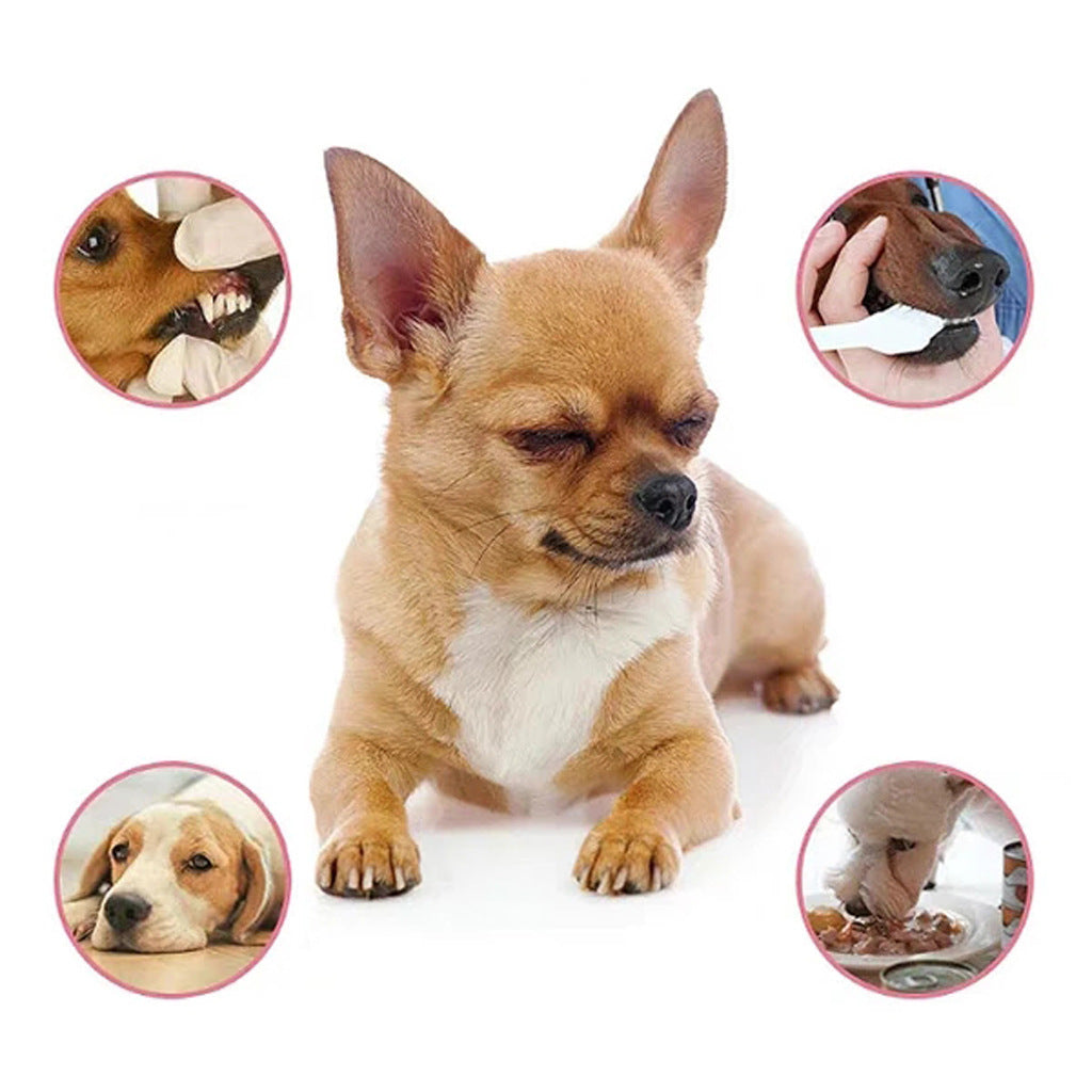 Oral Antibacterial for Dogs