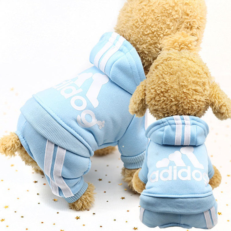 Cute Autumn and Winter Wear for Dogs