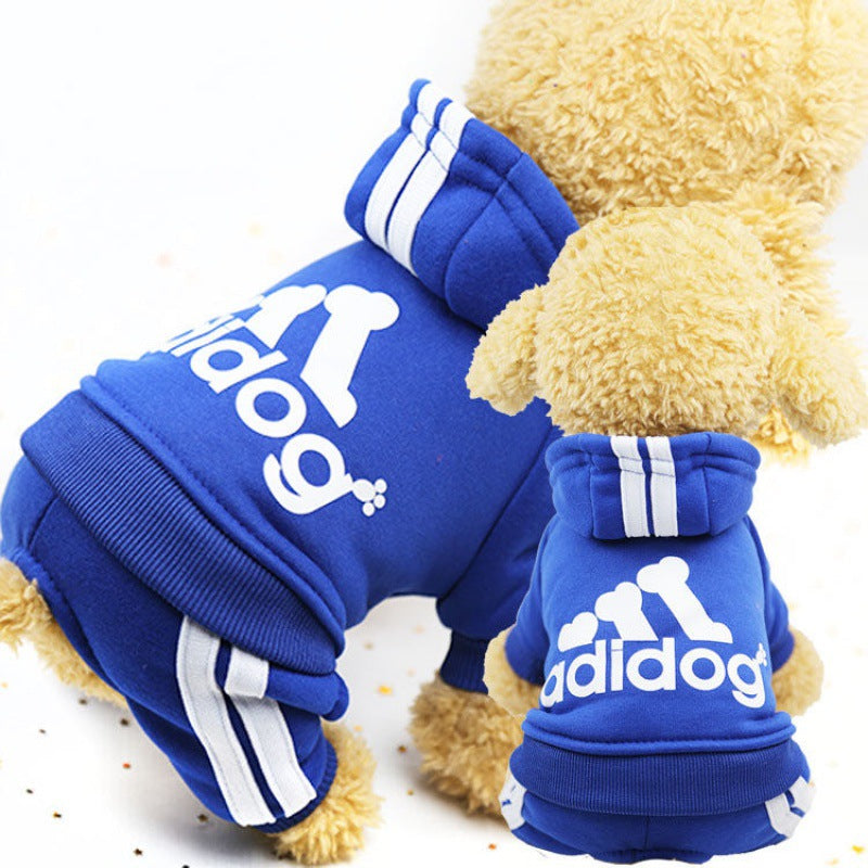 Cute Autumn and Winter Wear for Dogs