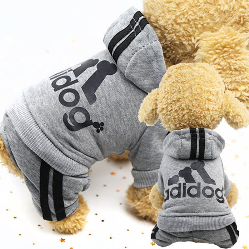 Cute Autumn and Winter Wear for Dogs