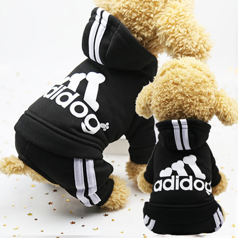 Cute Autumn and Winter Wear for Dogs