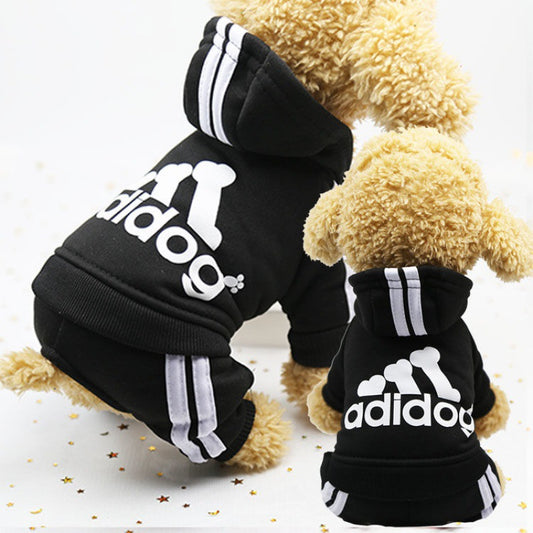 Cute Autumn and Winter Wear for Dogs