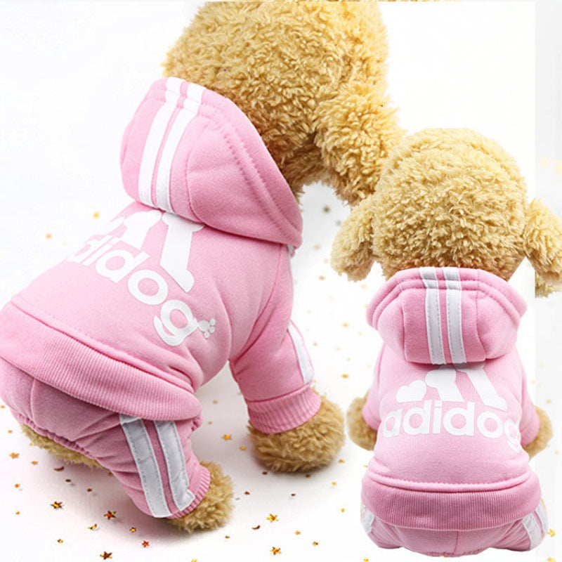 Cute Autumn and Winter Wear for Dogs