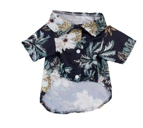 Hawaii Summer Fashion for Dogs