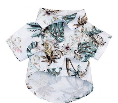 Hawaii Summer Fashion for Dogs