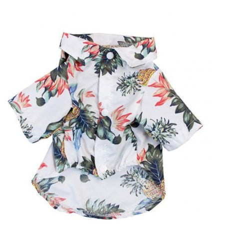 Hawaii Summer Fashion for Dogs