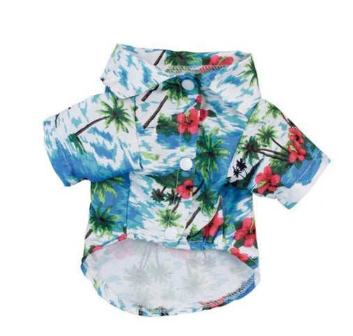 Hawaii Summer Fashion for Dogs