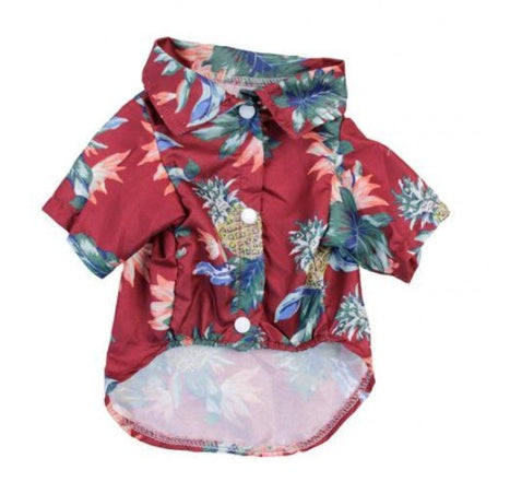 Hawaii Summer Fashion for Dogs
