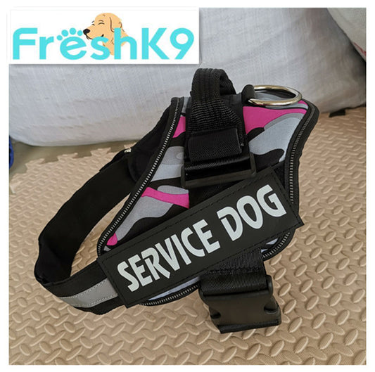 Chest Harness with Strap