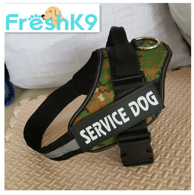 Chest Harness with Strap