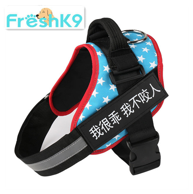 Chest Harness with Strap