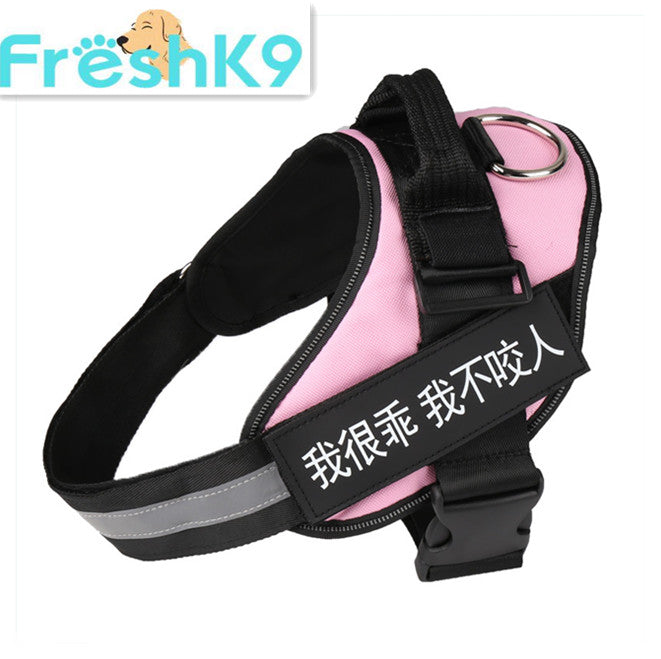 Chest Harness with Strap