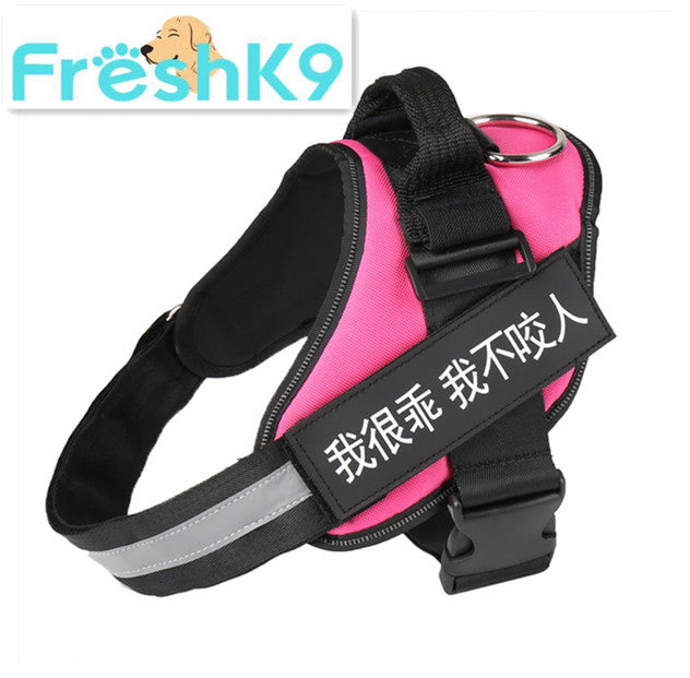 Chest Harness with Strap