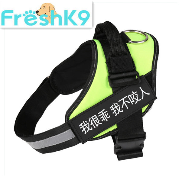 Chest Harness with Strap