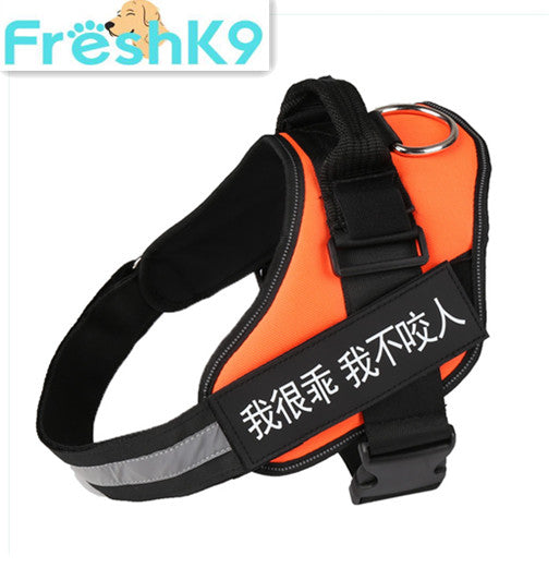 Chest Harness with Strap