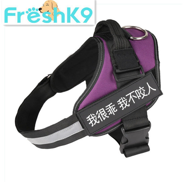 Chest Harness with Strap