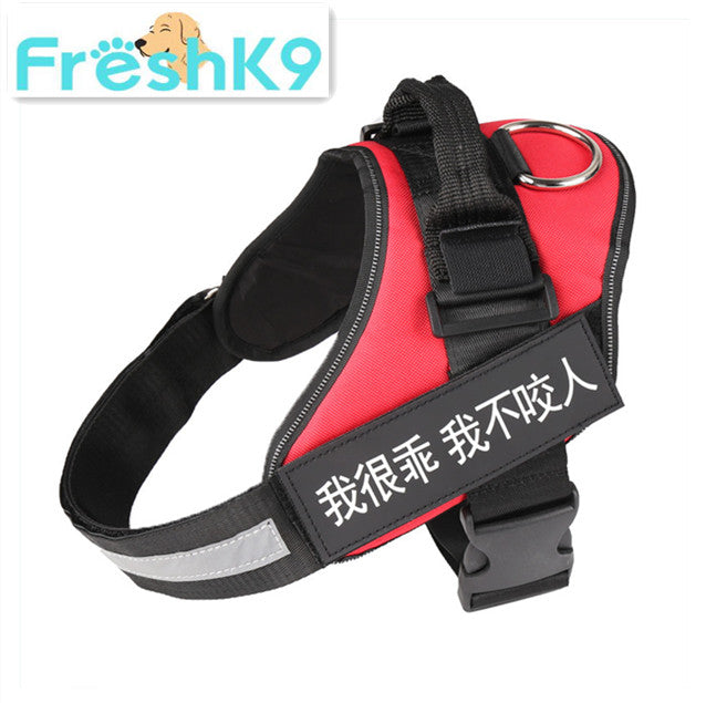 Chest Harness with Strap