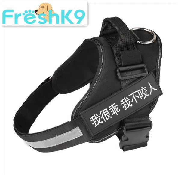 Chest Harness with Strap
