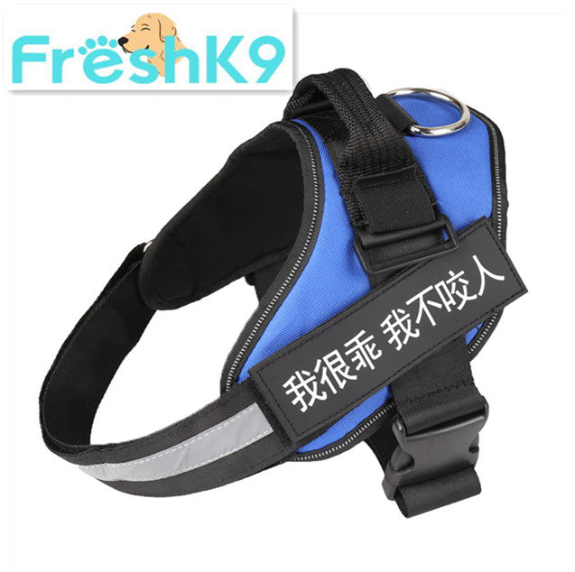 Chest Harness with Strap