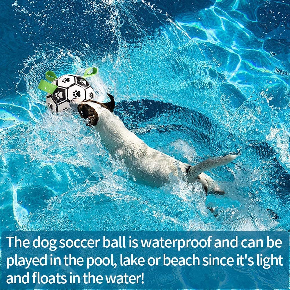 Interactive Sports Dog Ball Toy