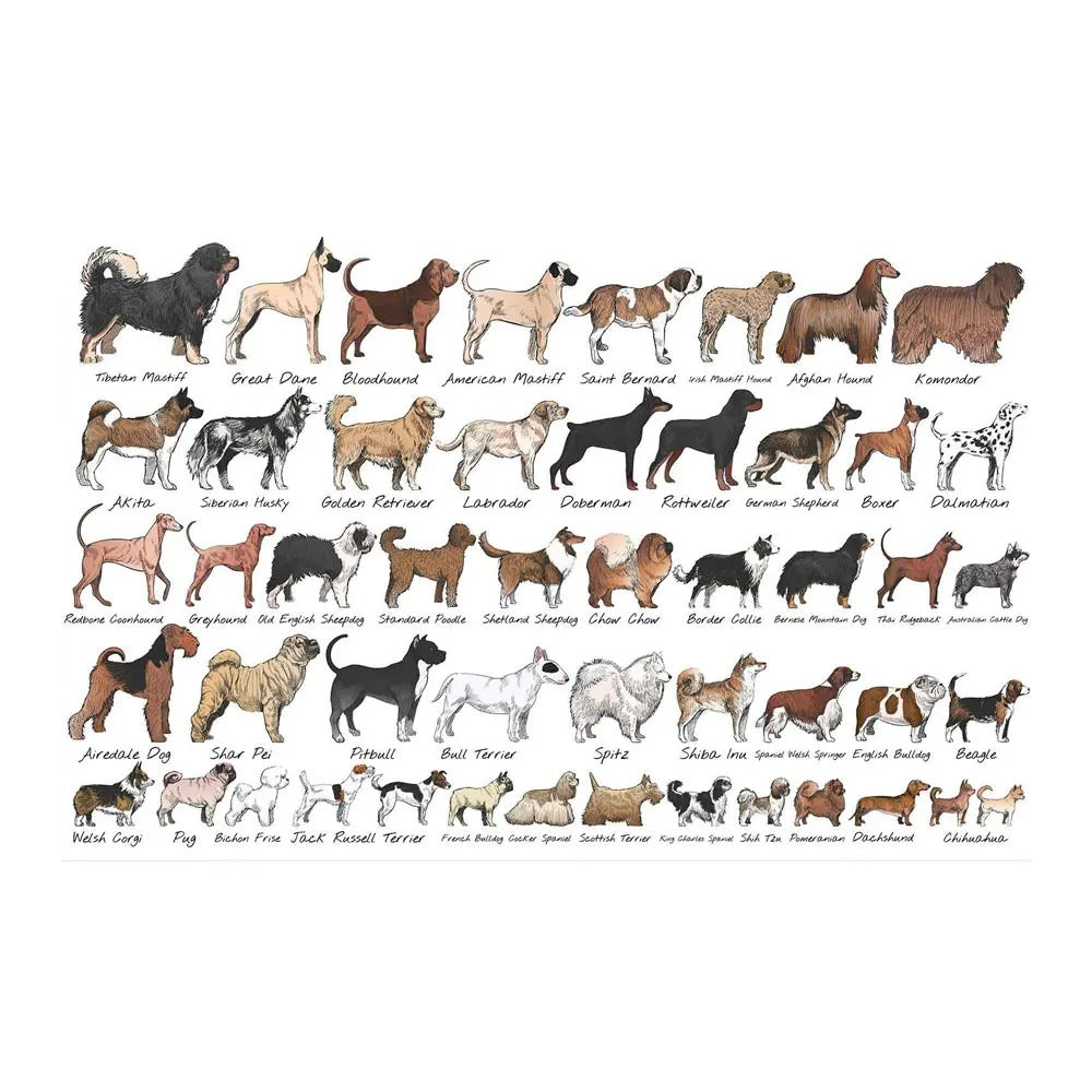 Dog Breeds Illustration Frameless Canvas Painting