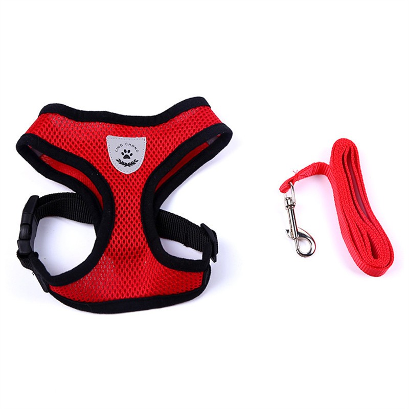 Car Seat Belt Dog Leash