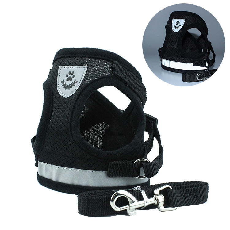 Car Seat Belt Dog Leash