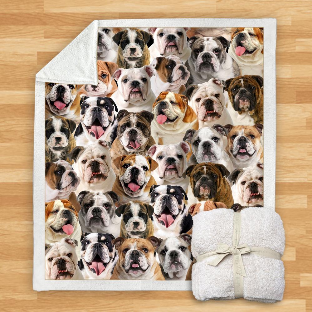 New Fashion Pet Dog Printed Flannel Blanket