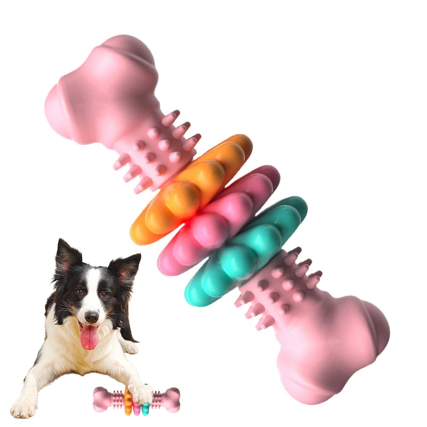 Interactive Chew Dog Toy