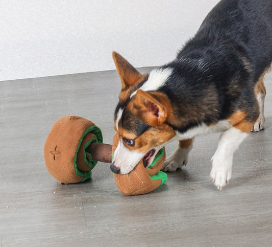 Dog Dumbbell Toy