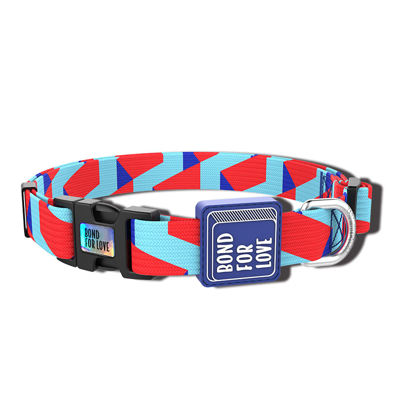 Fashion Webbing Collar