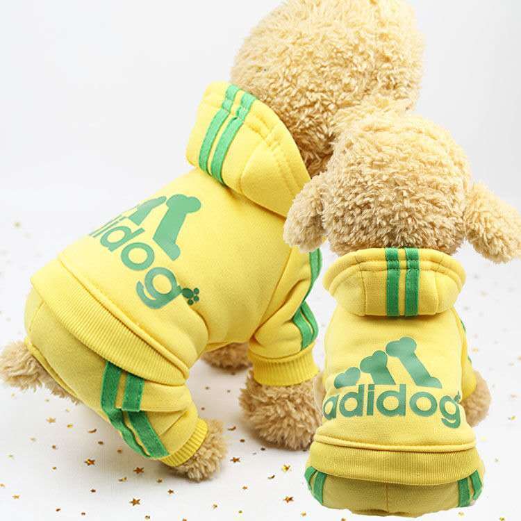 Cute Autumn and Winter Wear for Dogs