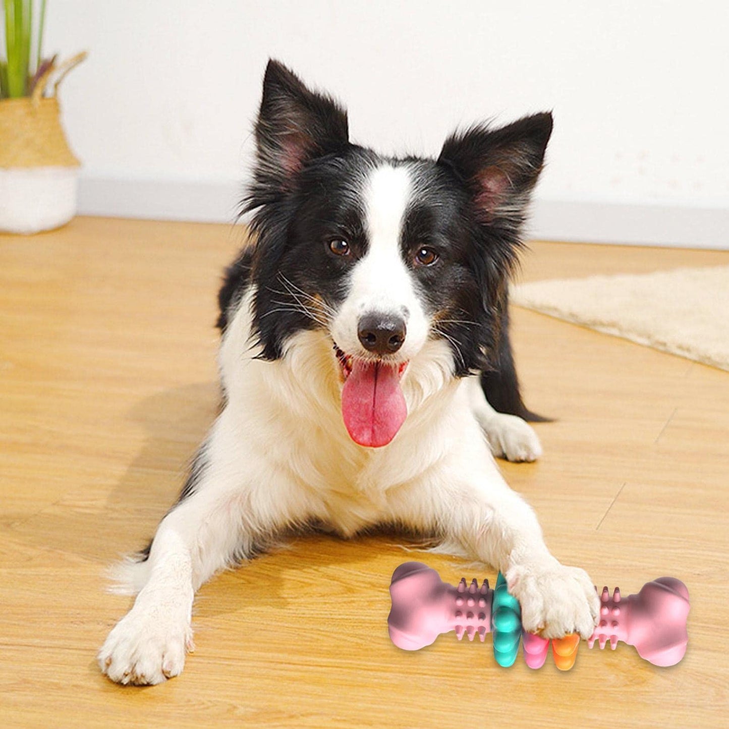 Interactive Chew Dog Toy