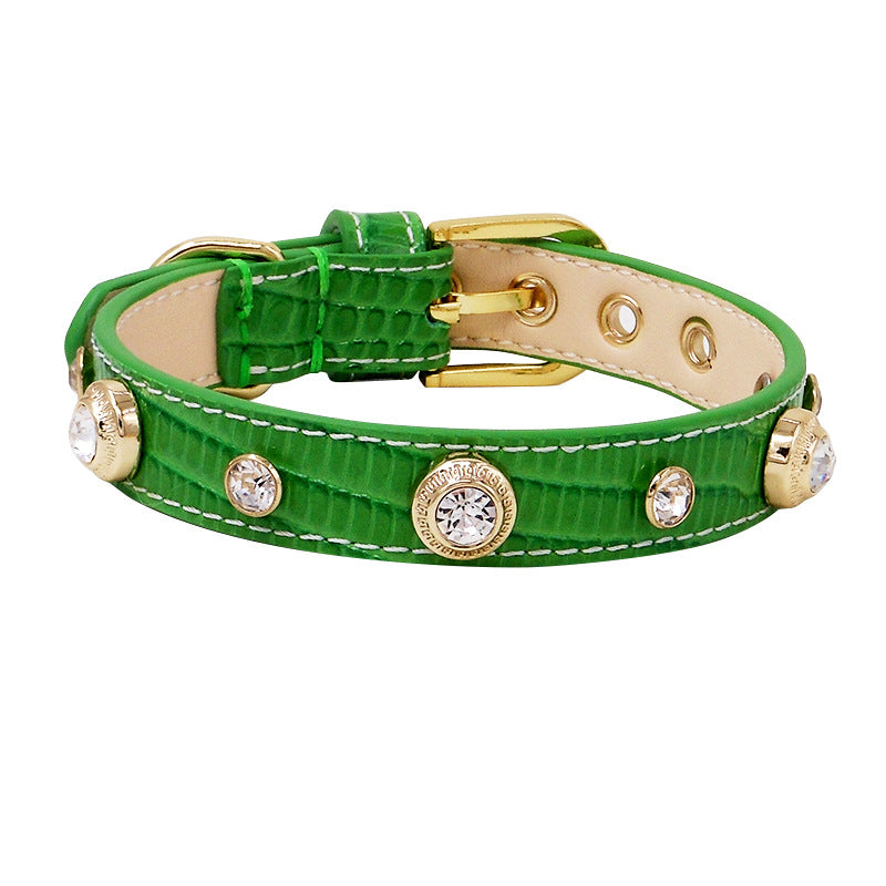Leather Dog Collar- Multicolor