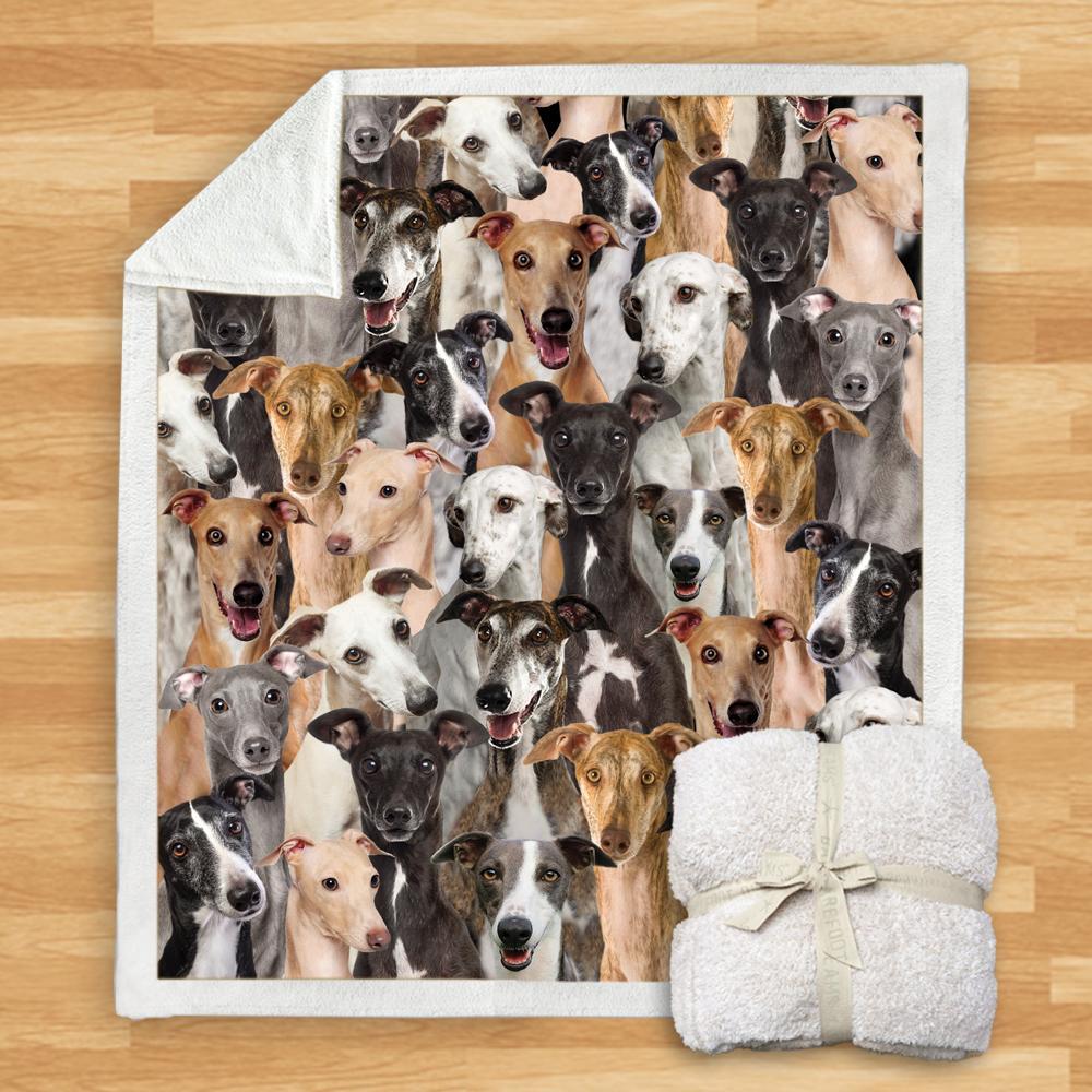 New Fashion Pet Dog Printed Flannel Blanket
