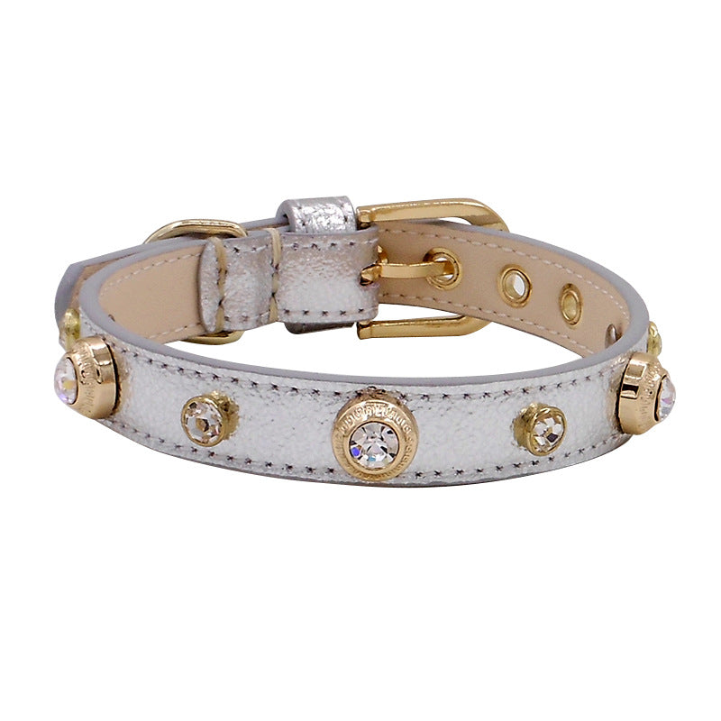 Leather Dog Collar- Multicolor