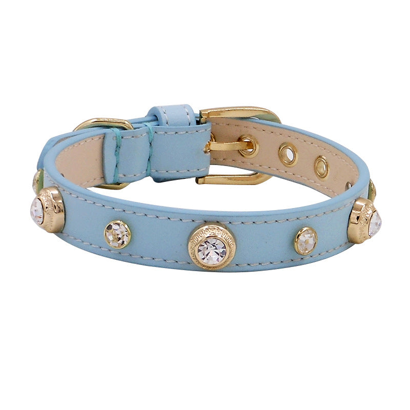 Leather Dog Collar- Multicolor