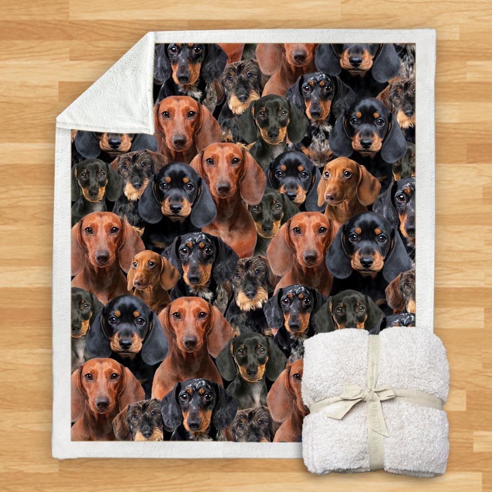 New Fashion Pet Dog Printed Flannel Blanket