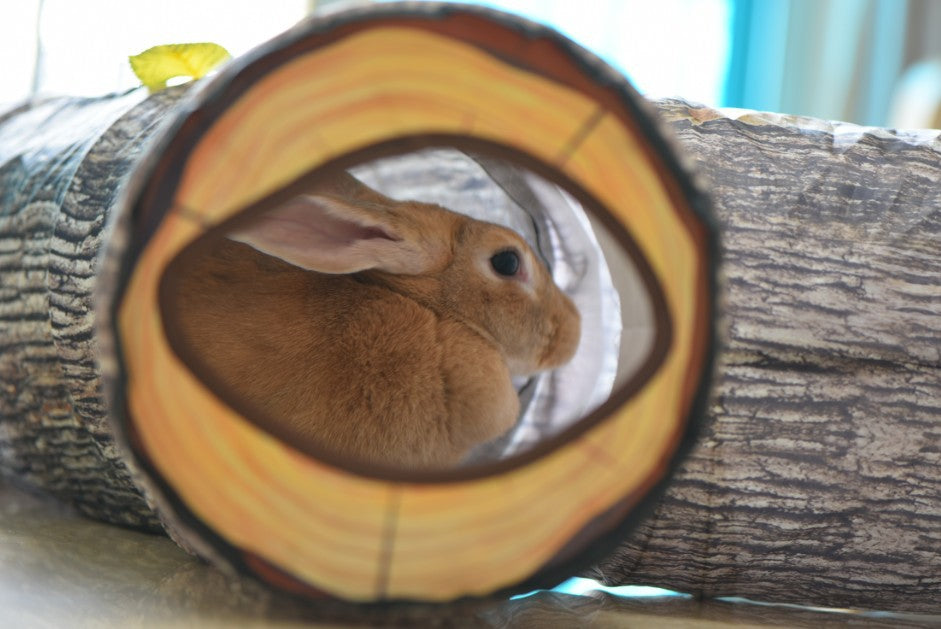 Tree Pattern Tunnel Toy