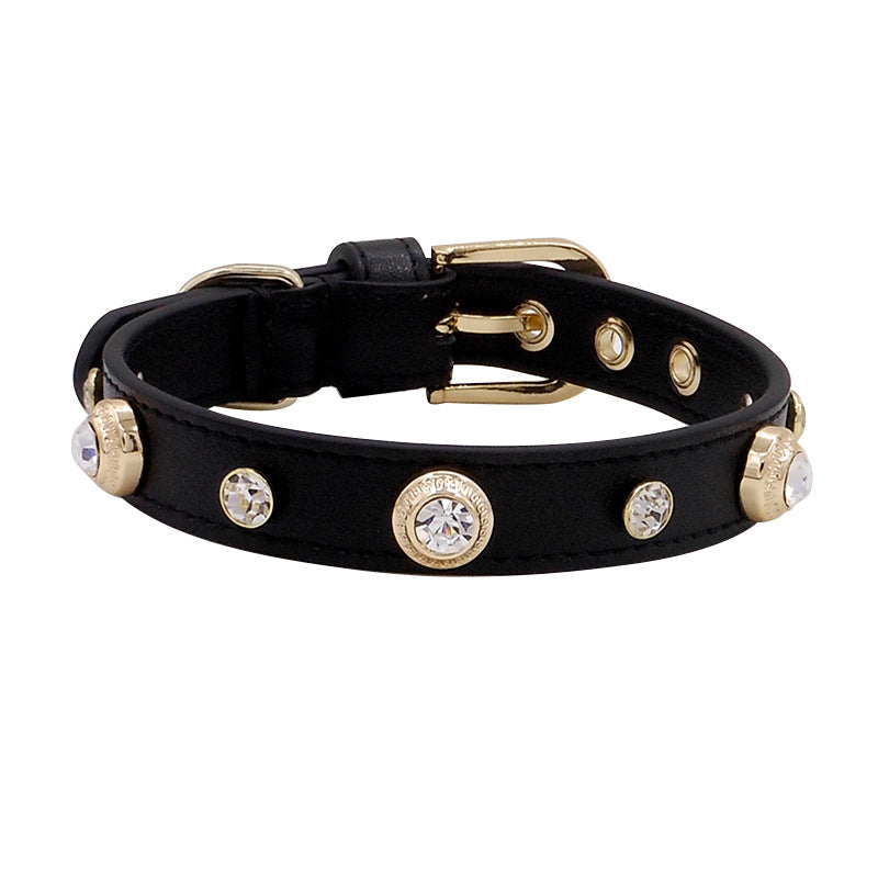 Leather Dog Collar- Multicolor