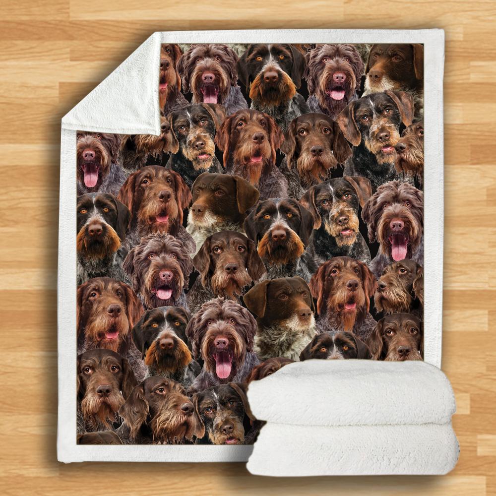 New Fashion Pet Dog Printed Flannel Blanket