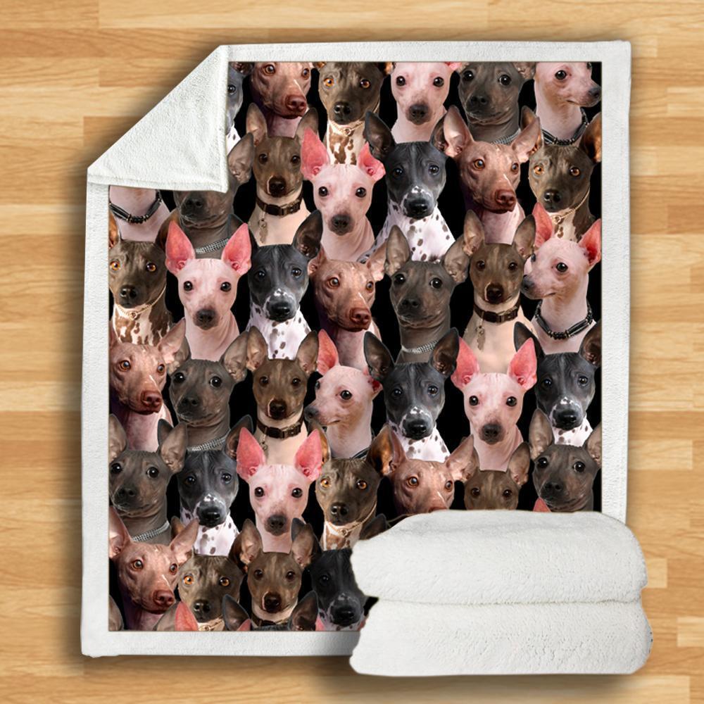 New Fashion Pet Dog Printed Flannel Blanket